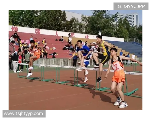 中国运动员文化教育网助力体育招生提升运动员综合素质与发展机会